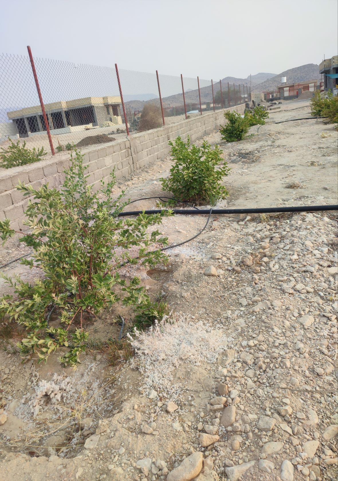 ویلا باغ در بهترین نقطه طلایی برزگو شهر اوز